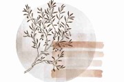 海角官网交友圈子深度探访｜社交玩法揭秘，海角平台