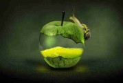 赛事直播推荐｜每日大赛赛事幕后花絮独家放送，每日赛事单场比赛